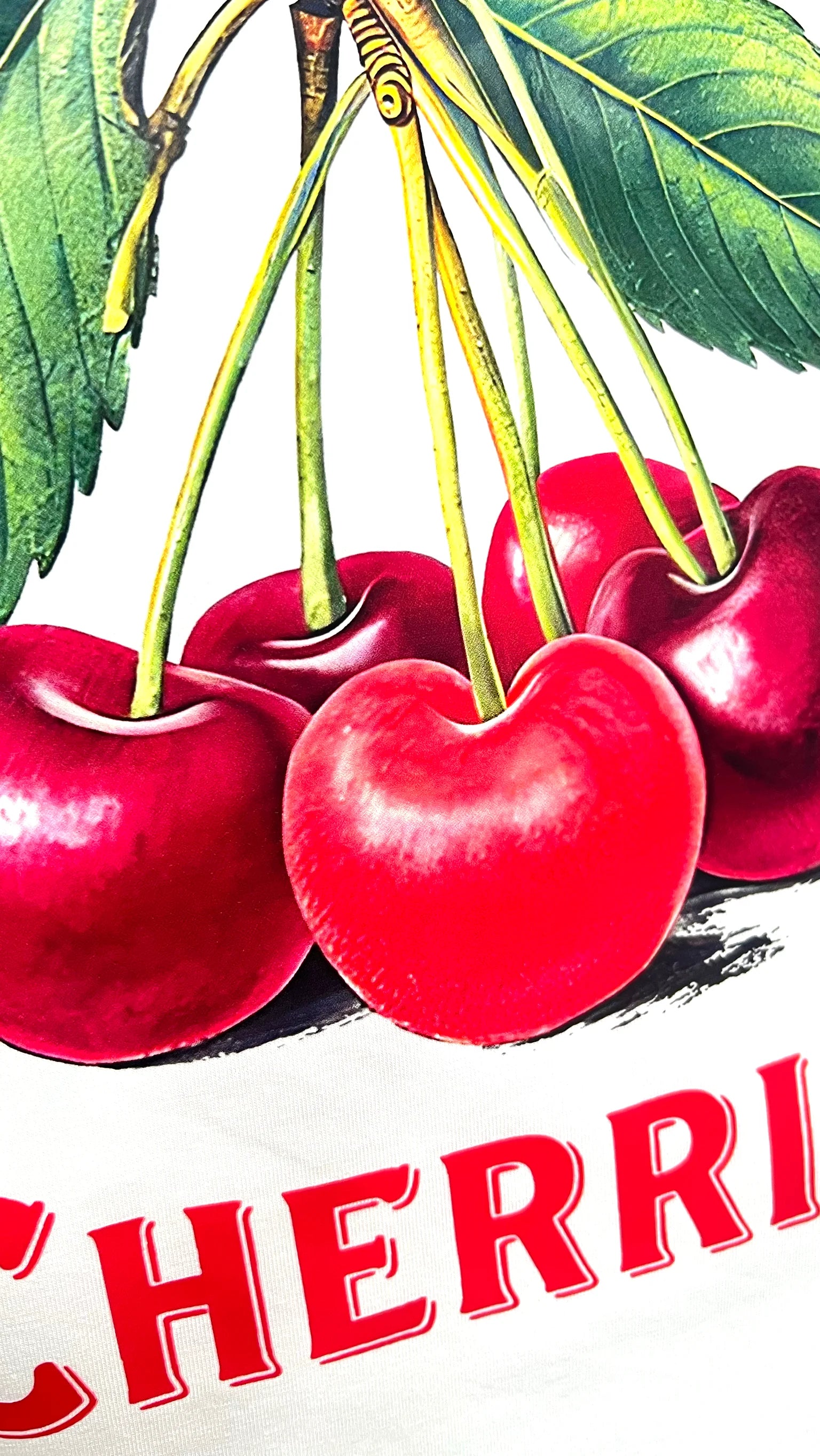 Printed Cherry Fruit T-Shirt - Red Cherry Graphic Design